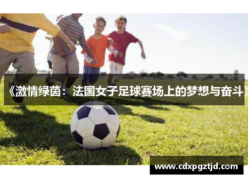 《激情绿茵：法国女子足球赛场上的梦想与奋斗》